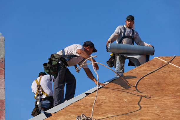 Reliable Dupo, IL Roofing Contractor Solutions