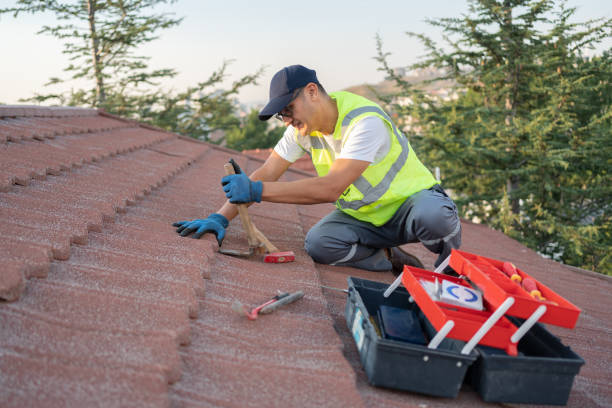 Best Commercial Roofing Services  in Dupo, IL