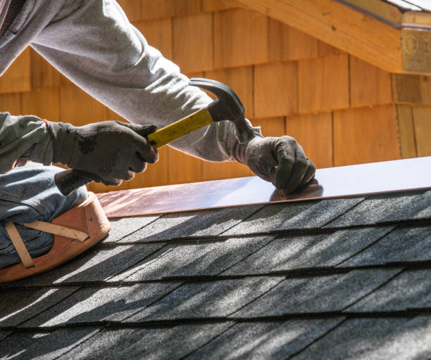 Best Metal Roofing Contractor  in Dupo, IL